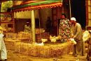 Live Chicken Seller, Cairo